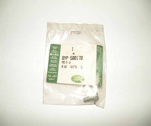 SCREW M6 X 13.5 POLYMATE F/L          BYP500170