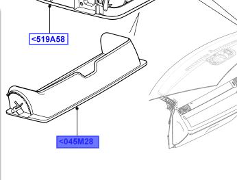 BIN – SUNGLASSES HOLDER IVORY HEADLINER LR086386